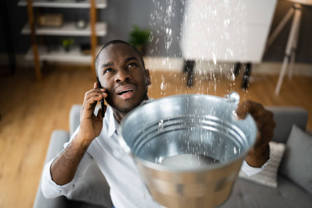 Best Sewage cleanup and water damage restoration  in Hampton, TN