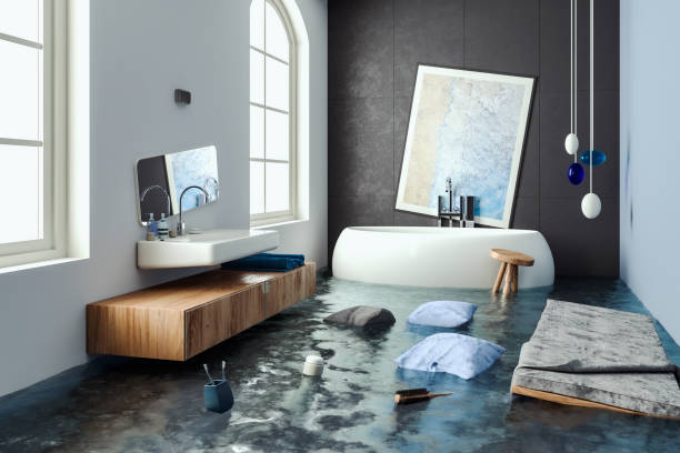 Best Mold removal after water damage  in Hampton, TN