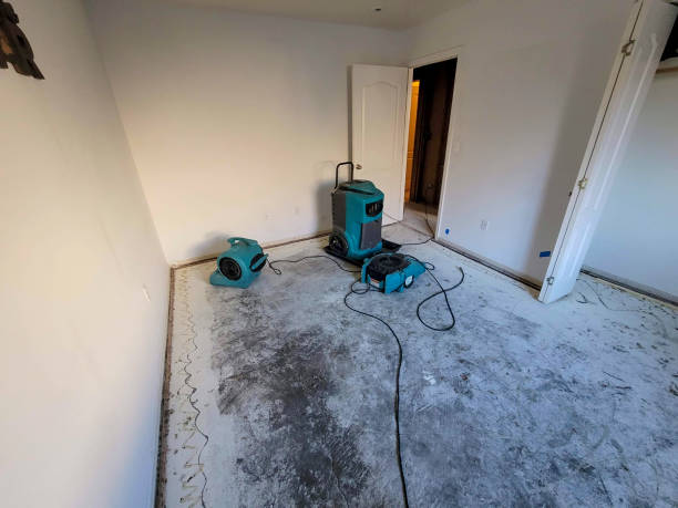 Best Water damage restoration company  in Hampton, TN