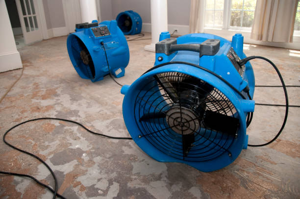Best Residential water damage restoration  in Hampton, TN