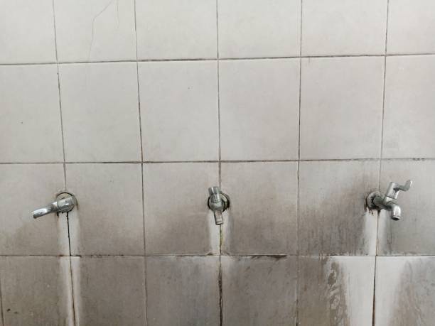 Best Local water damage restoration  in Hampton, TN