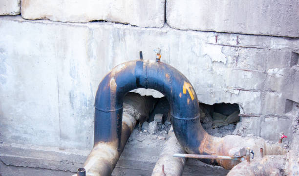 Best Basement water damage restoration  in Hampton, TN