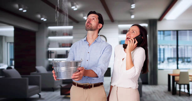 Best Water damage cleanup near me  in Hampton, TN